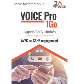 Voice Pro 1Go