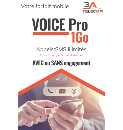 Voice Pro 1Go