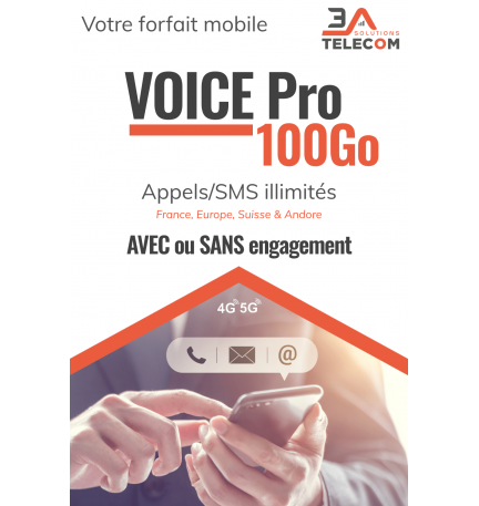 Voice Pro 100Go